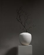 VAZË SUNAO, MESME - BIRCH