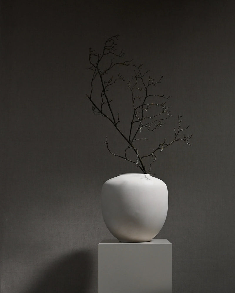 VAZË SUNAO, MESME - BIRCH