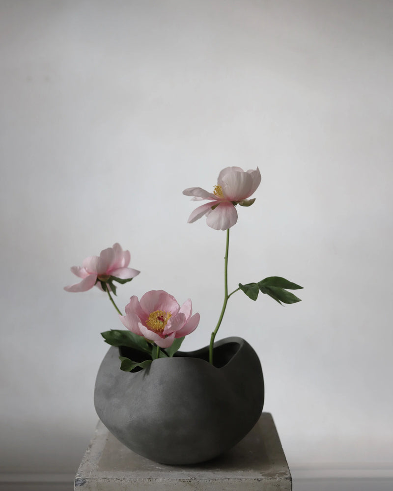 Curve Bowl Big - Dark Grey 101 Copenhagen ApS