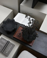 Bloom Tray Medio - Black