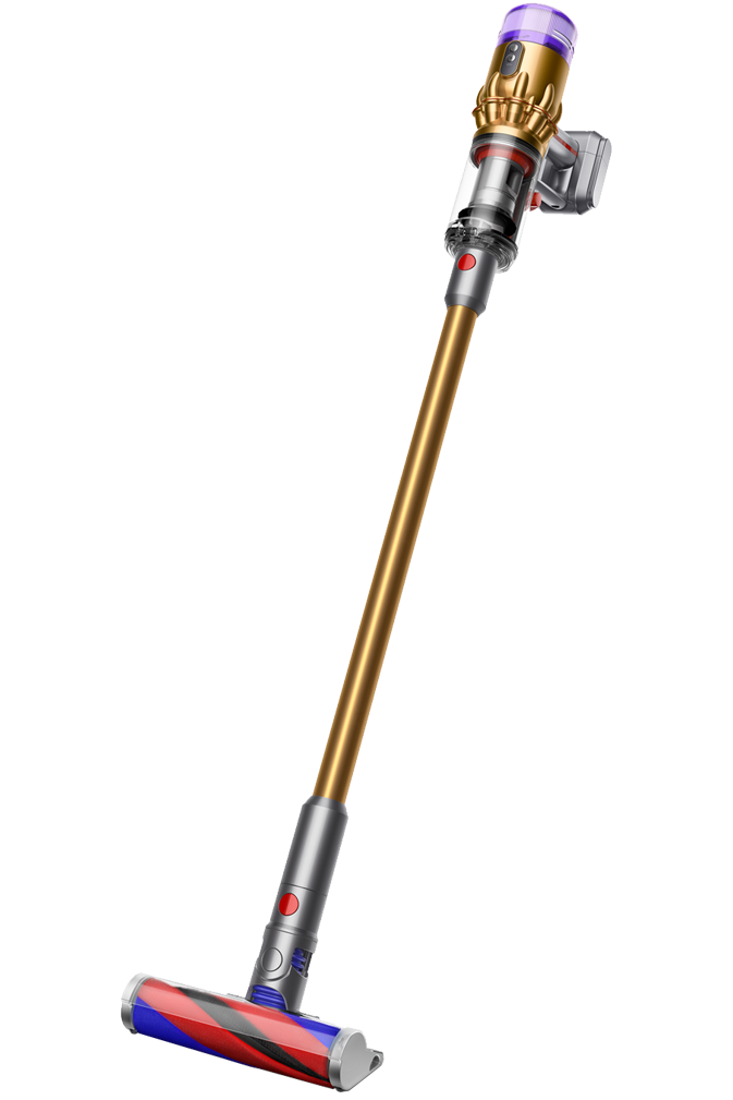 Fshese Dyson Micro