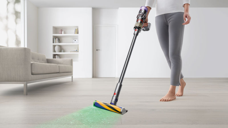 Fshese Dyson Micro