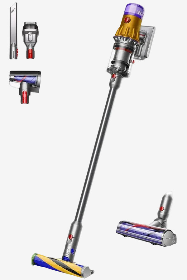 Fshese Dyson V12 Detect Slim Absolute